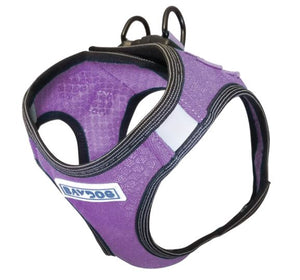 Bay Dog Harness- Purple