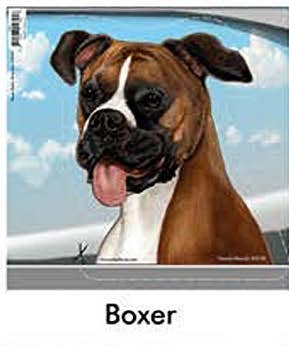 Boxer Fawn Uncropped - Dogs On The Move Window Decal