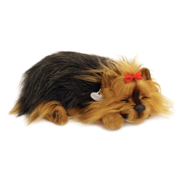 Yorkie Perfect Petzzz – Salty Paws