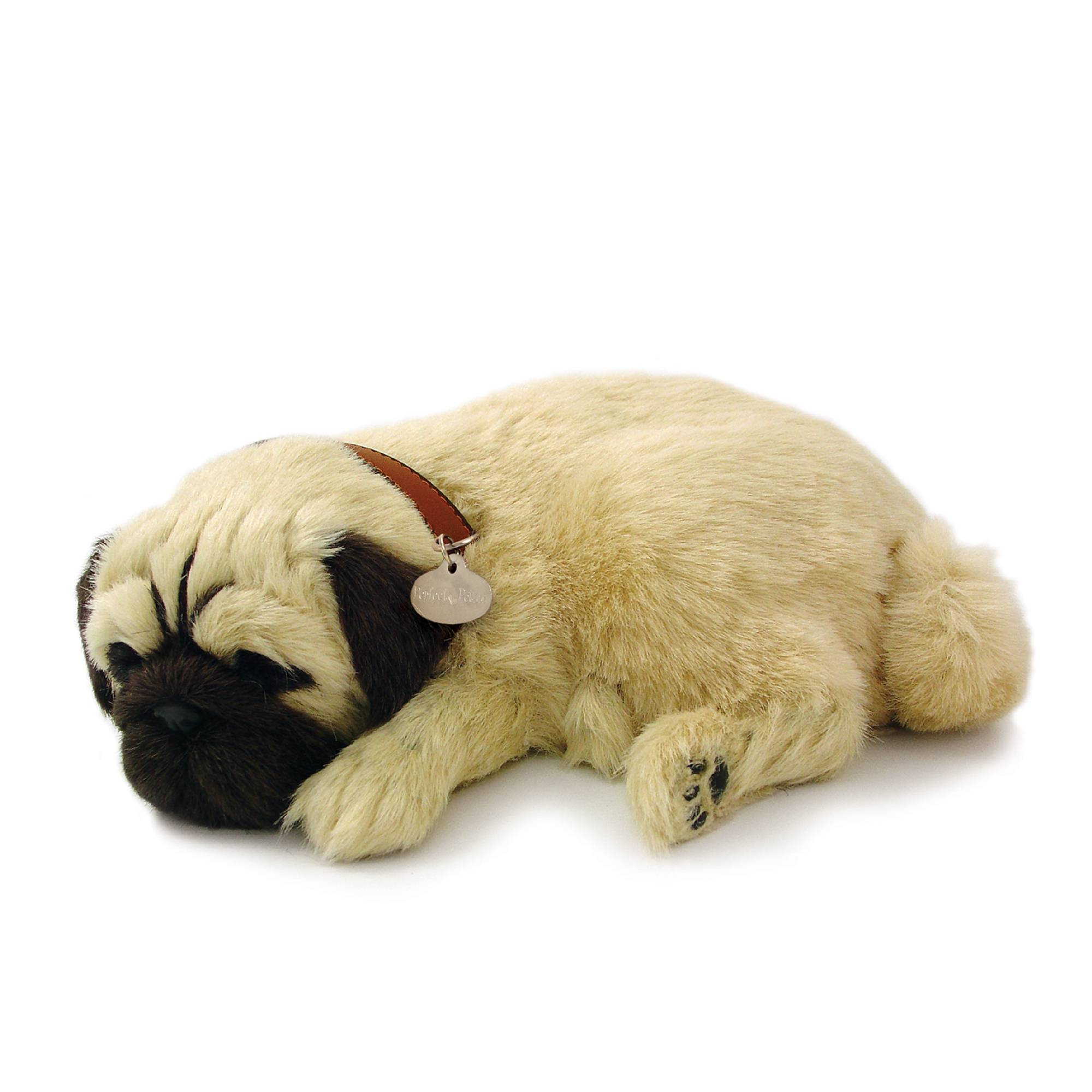 Pug Perfect Petzzz – Salty Paws