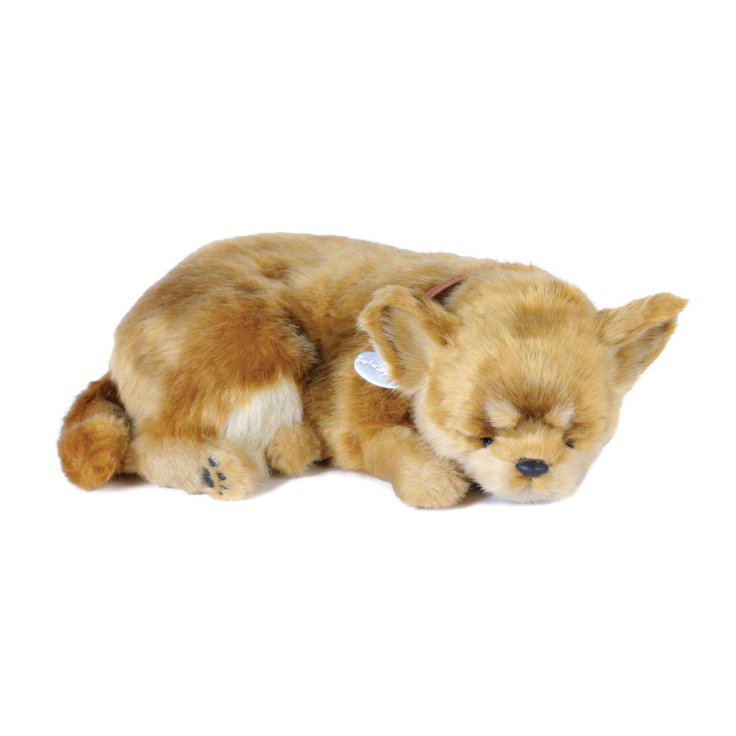 Chihuahua Perfect Petzzz – Salty Paws