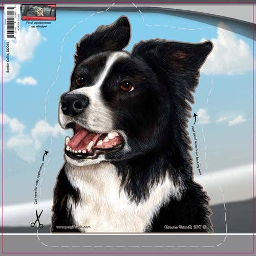 Border Collie - Dogs On The Move Window Decal
