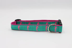 Turquoise Seahorse Dog Collar #425