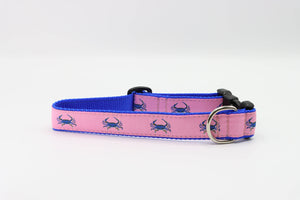 Blue Crab on Pink Dog Collar #264