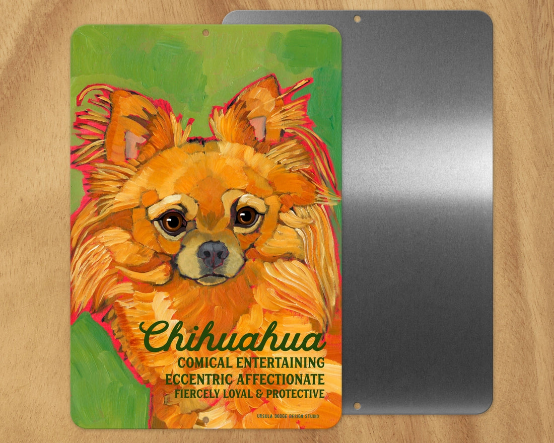 Chihuahua (Long Hair Red) -UD Metal Sign