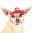 Sunset Trucker Hat for Dogs