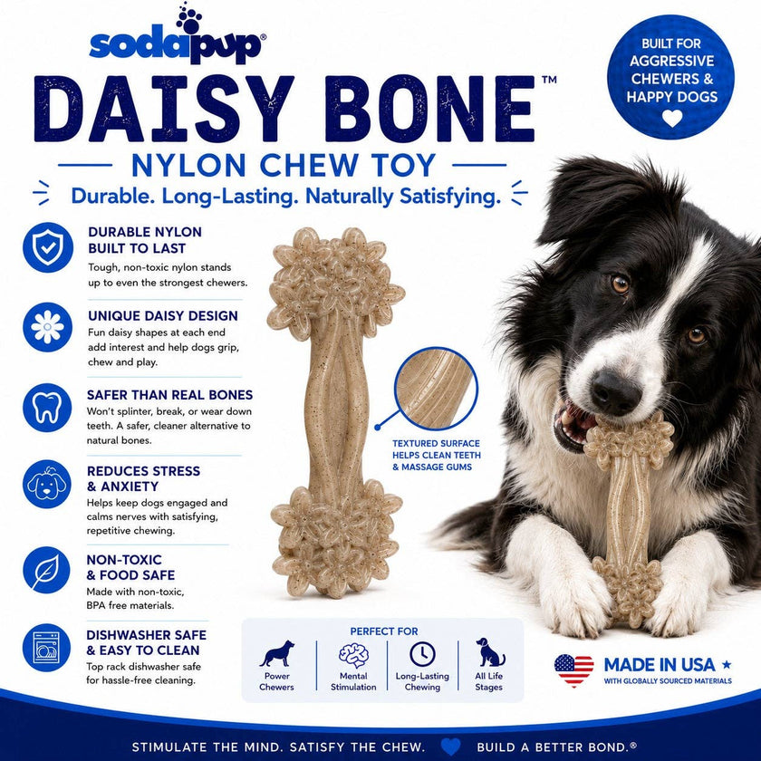 Daisy Bone Nylon Dog Toy for Aggressive Chewers