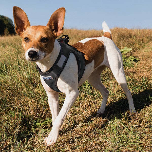 Reflective Lightweight Breathable Step in Dog Harness