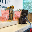 Polkadog Salmon Says Training Bits Crunchy Dog & Cat Treats