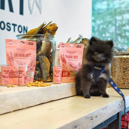 Polkadog Salmon Says Training Bits Crunchy Dog & Cat Treats 2oz