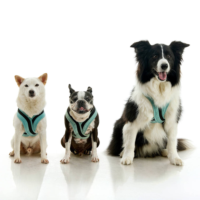 Escape Free Comfort X One Dog Harness