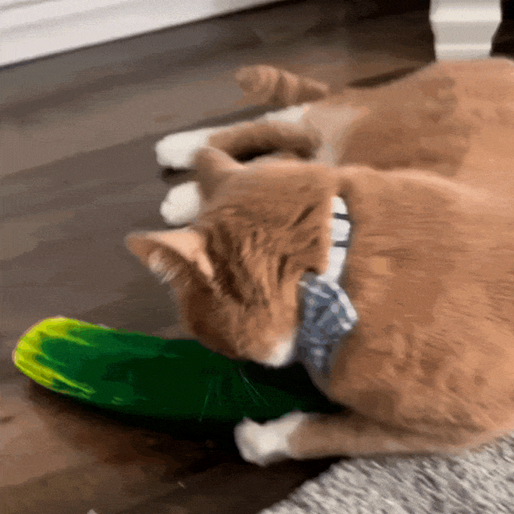 Meowijuana® Get Kickin' Big Fishy Tourist Kicker Cat Toy