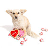 Valentine's Hearts Dog Tennis Ball Mini or Regular Single