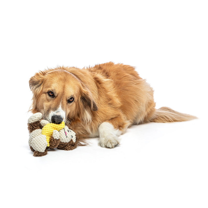 GURU Pet Company Loveys Monkey Plush Dog Toy Medium