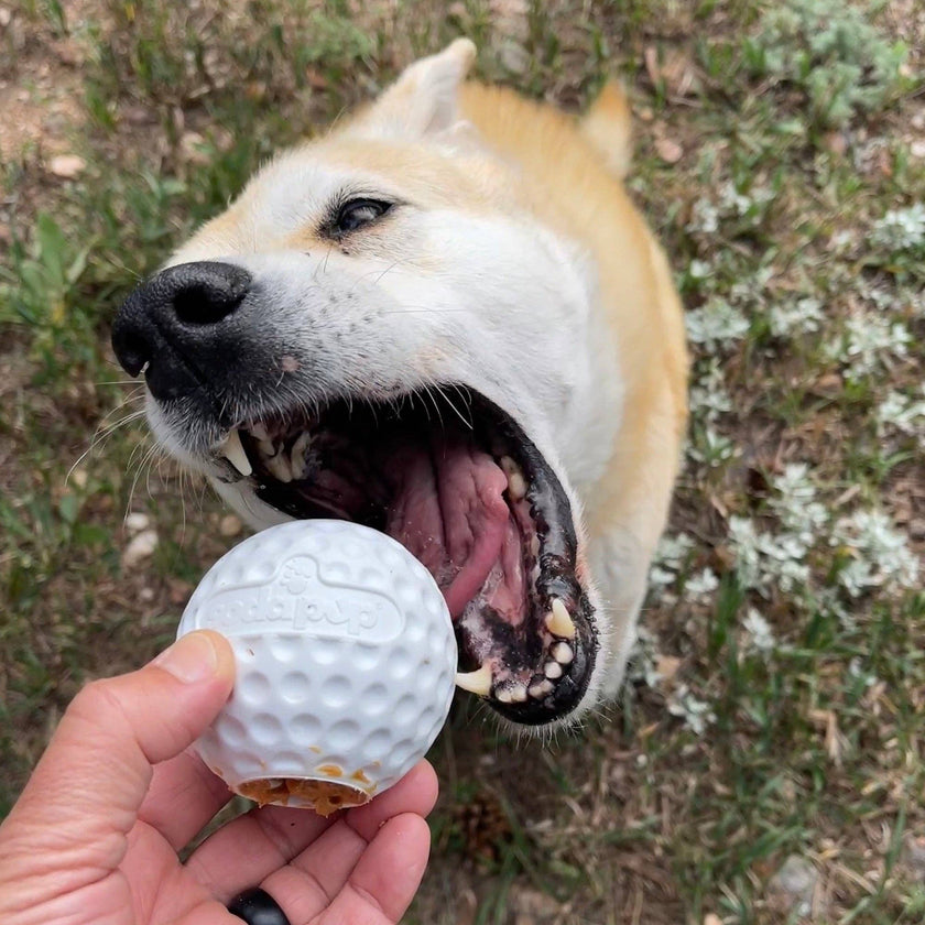 SP Golf Ball Rubber Treat Dispenser Dog Toy