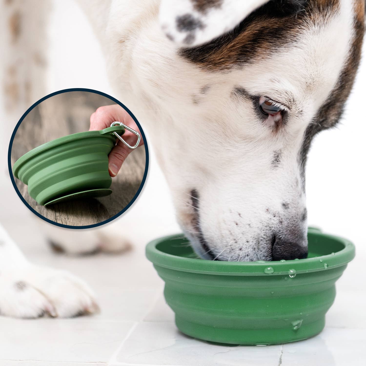 Travel Slow Feeder Dog Bowl with Non-Slip Suction Bottom