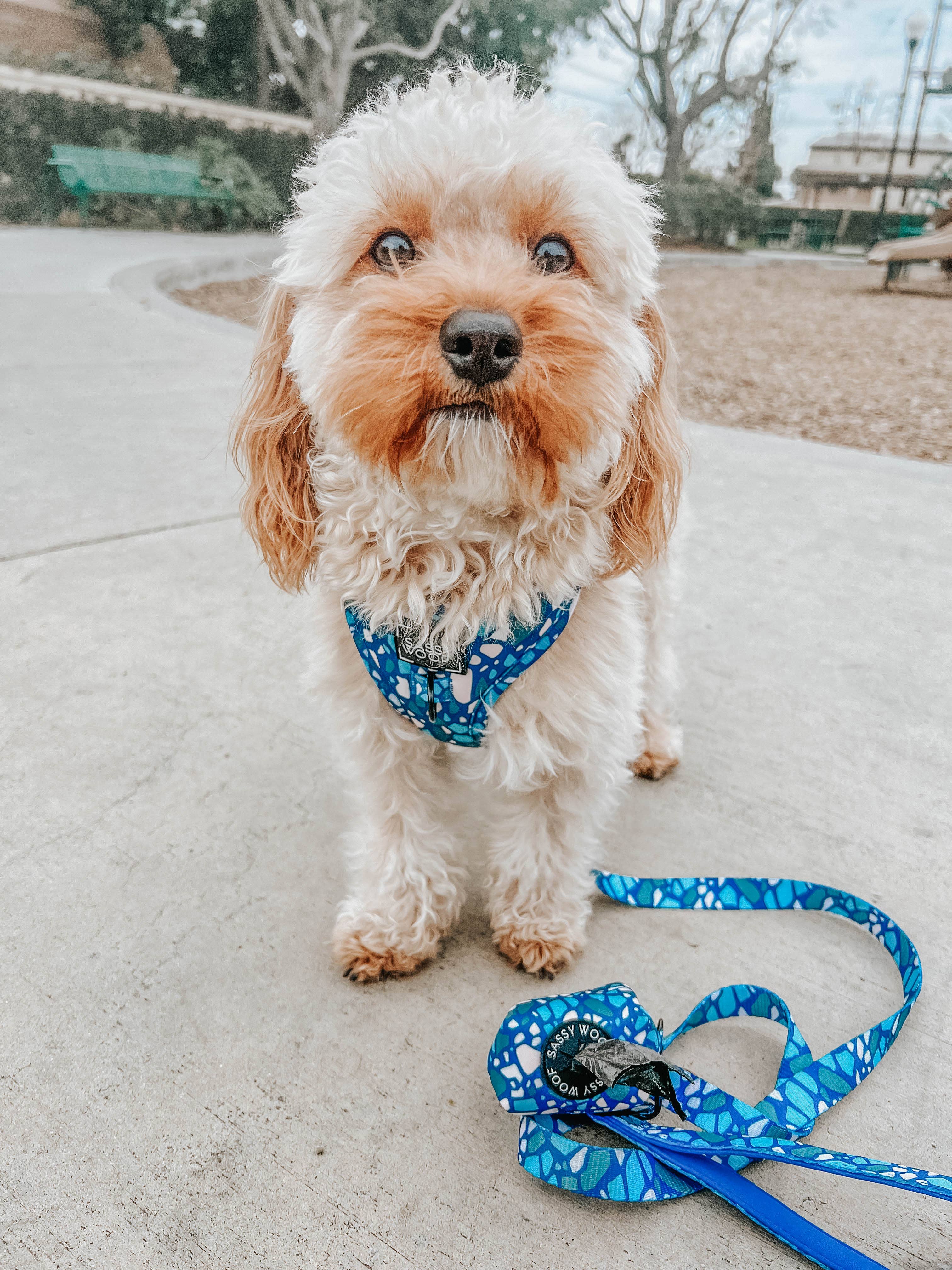 Dog Waste Bag Holder Blue Santorini With Clasp