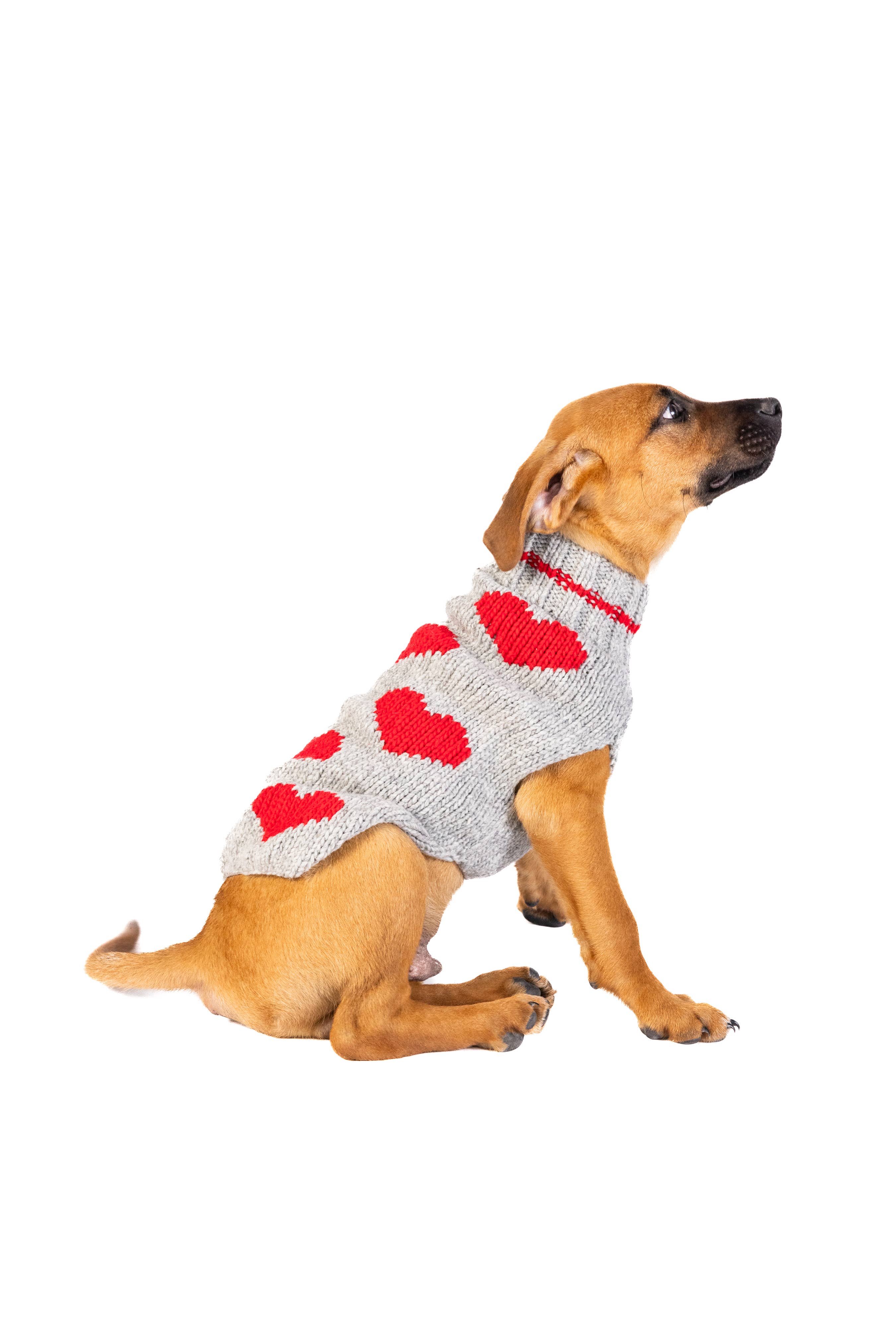 Red Hearts Dog Sweater