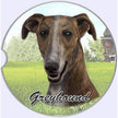 Greyhound Car Coaster