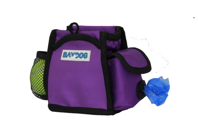 Pack-N-Go Bag