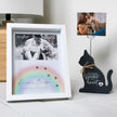 Rainbow Bridge Shadow Box Frame (6