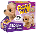 Westminster Redley the Walking Golden Retriever Dog