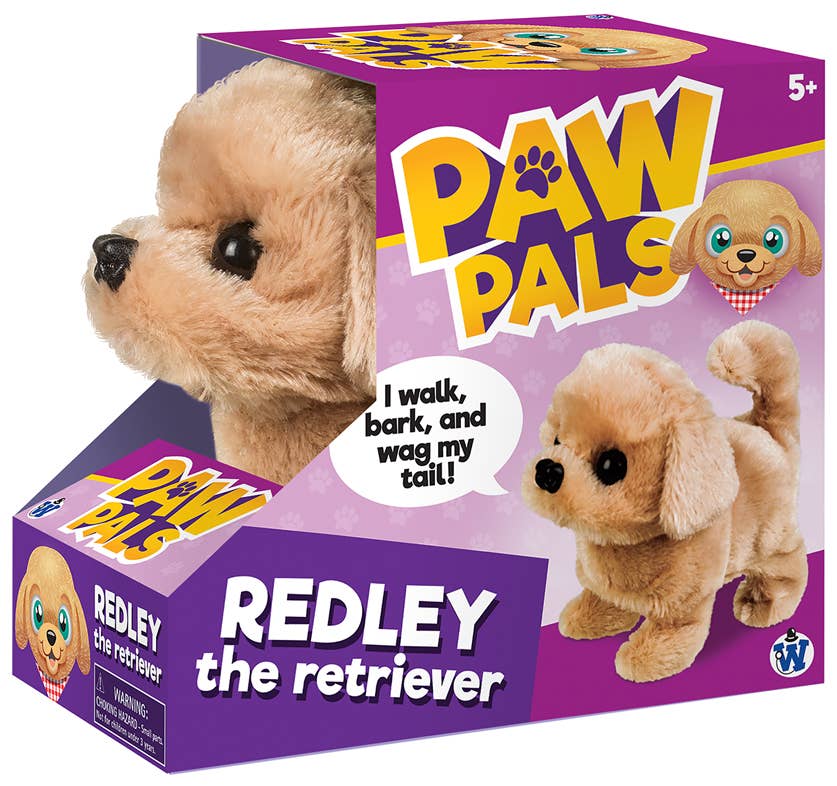 Westminster Redley the Walking Golden Retriever Dog