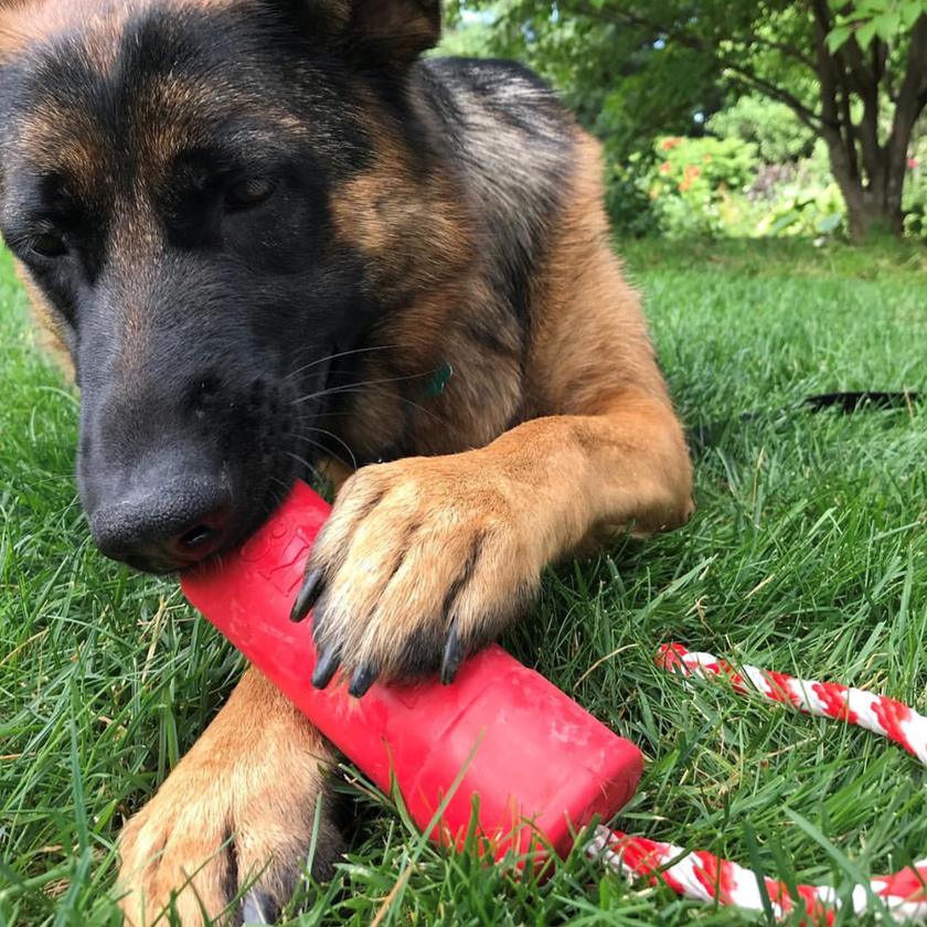 SP USA-K9 Firecracker Training Dummy - Floating Dog Toy Large -Red
