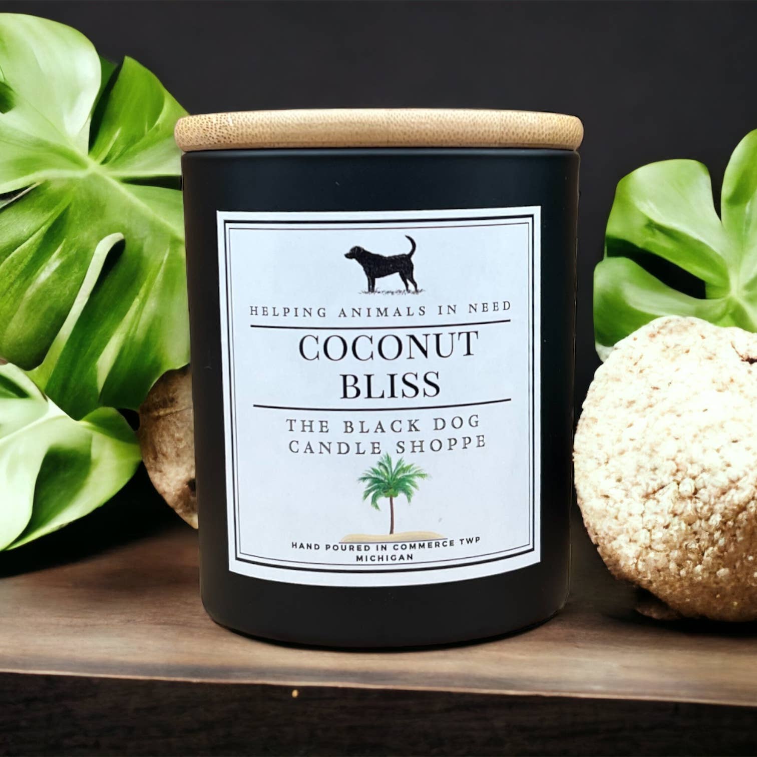 Classic Candle - Coconut Bliss