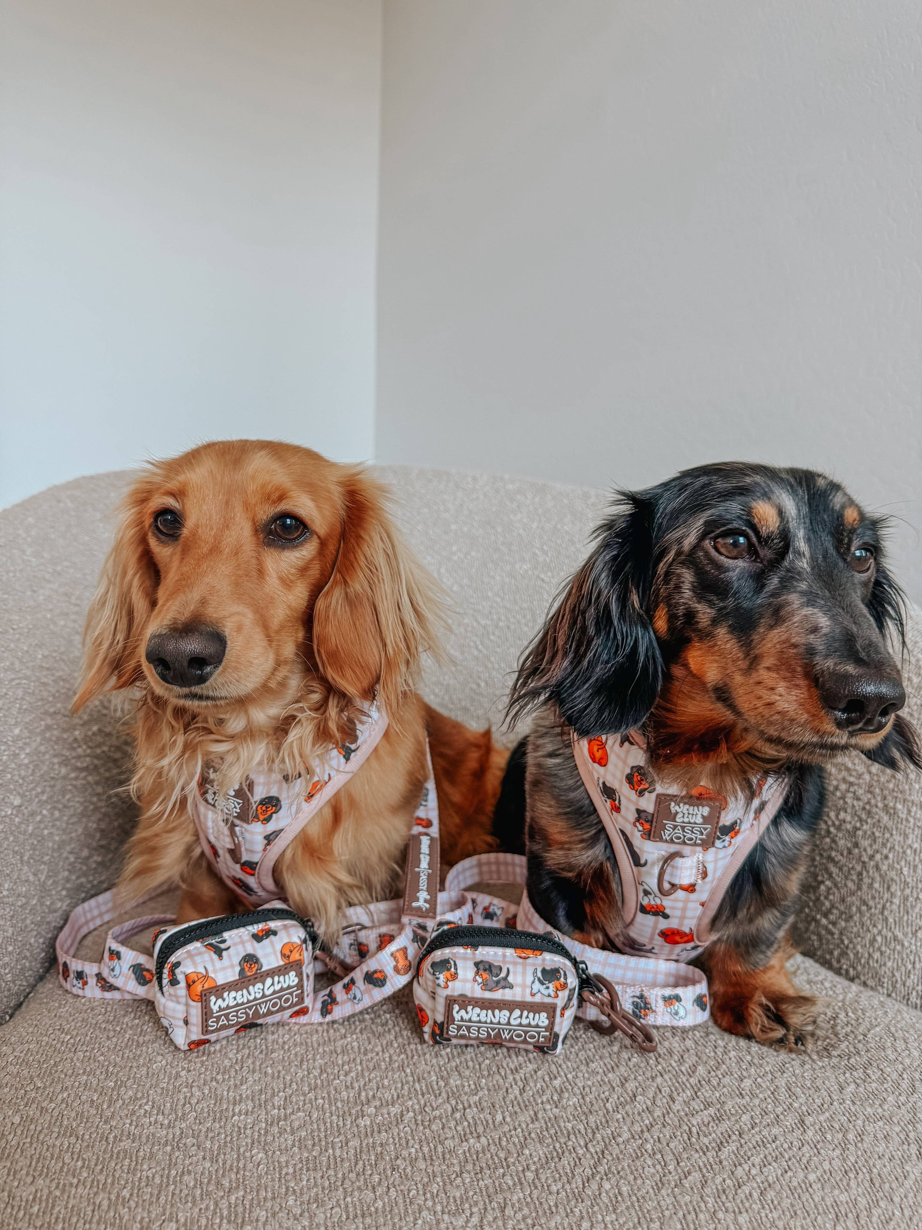 Dog Waste Bag Holder Weens Club With Clasp