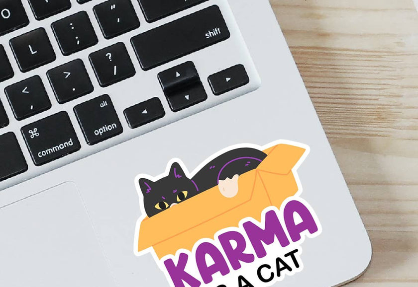 Taylor Karma is a Cat Laptop Water Bottle Sticker