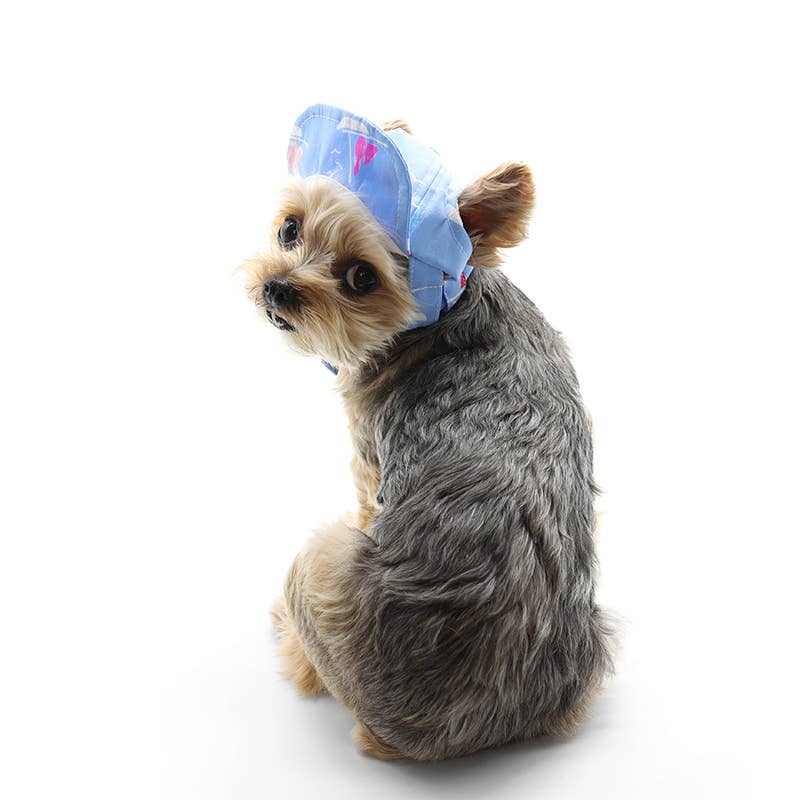 Summer Sailboats Beach Dog Hat