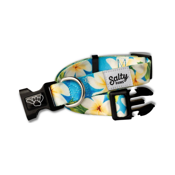 Blue Plumeria Tropical Dog Collar Made with Repreve