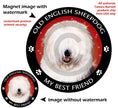 Old English Sheepdog My Best Friend Circular Magnet