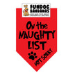 On the Naughty List Not Sorry Bandana
