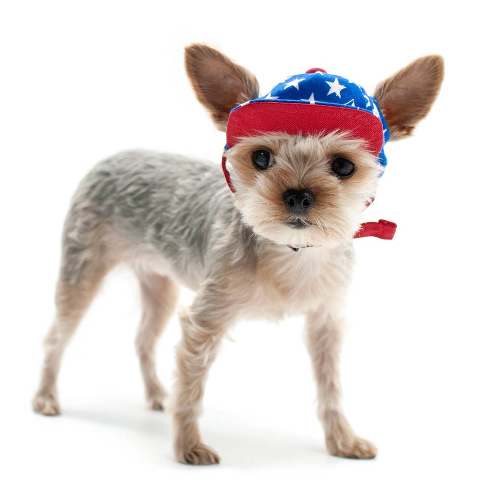 Patriotic American USA Star Pet Hat