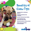 Dog Toy Bone eChew Ultra Durable Nylon Dog Chew Toy