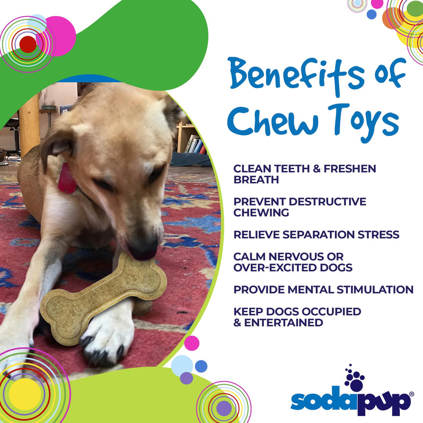 Dog Toy Bone eChew Ultra Durable Nylon Dog Chew Toy