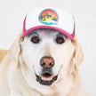 Surfer Trucker Hat for Dogs