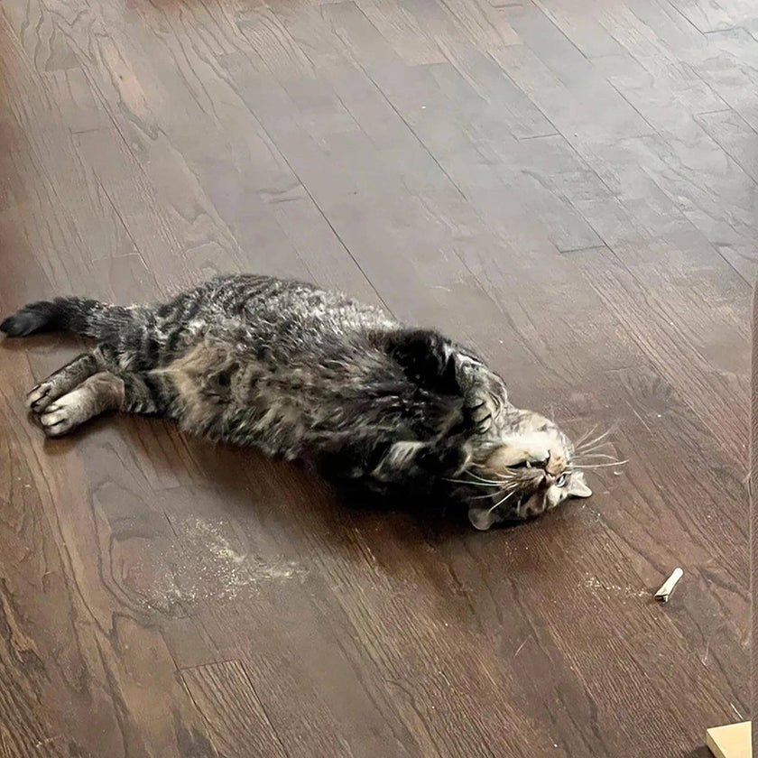 Meowijuana® Catnibas® King Size Rollies