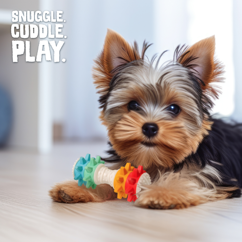 SnugArooz Shake It Off Dog Chew Toy Multicolored 5