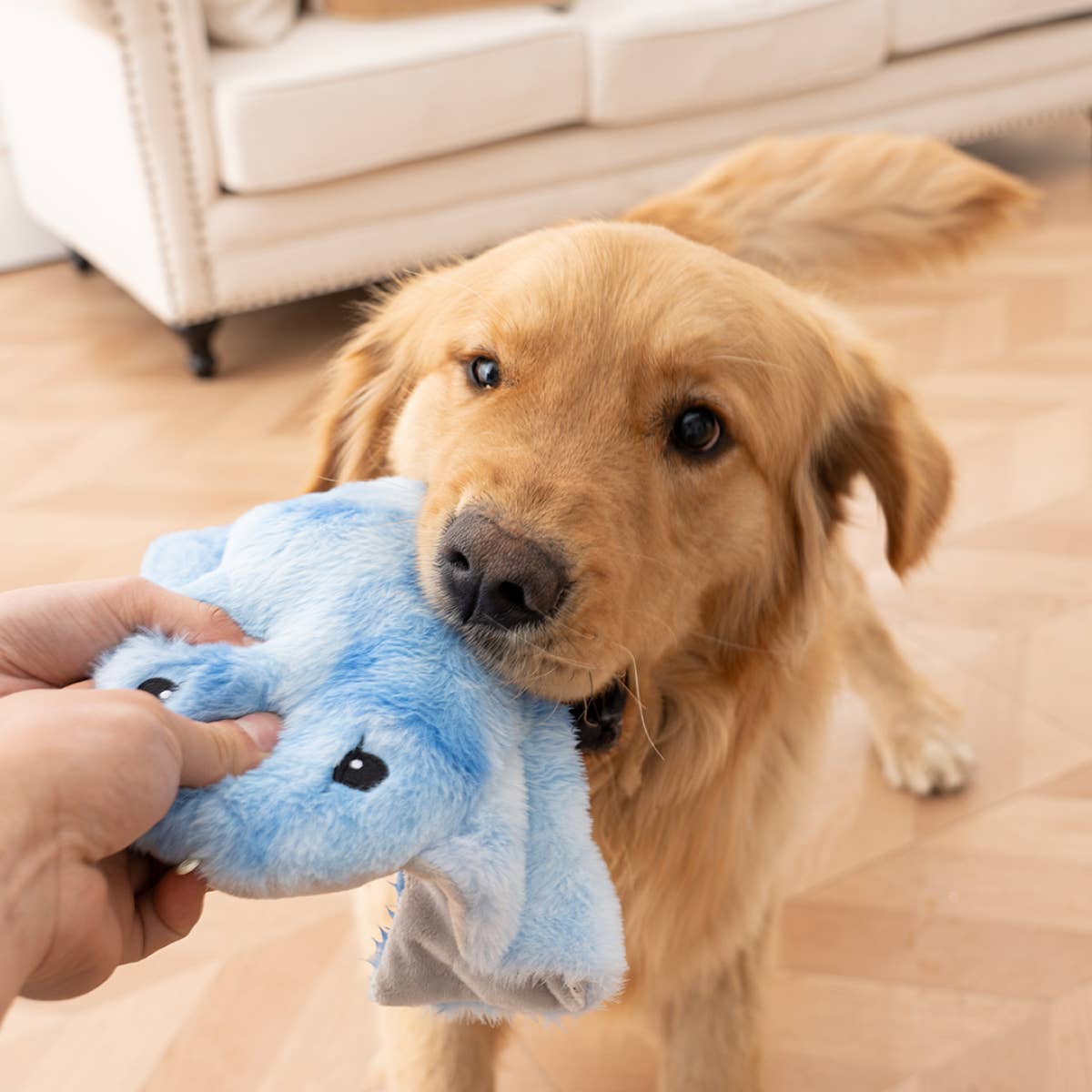 Dog Toy Manta Ray Animated Plush Dog Toy