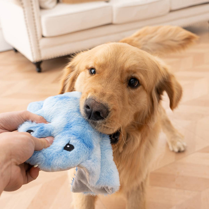 Dog Toy Manta Ray Animated Plush Dog Toy