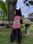 Turtley Awesome Dog or Cat Pet Clothing