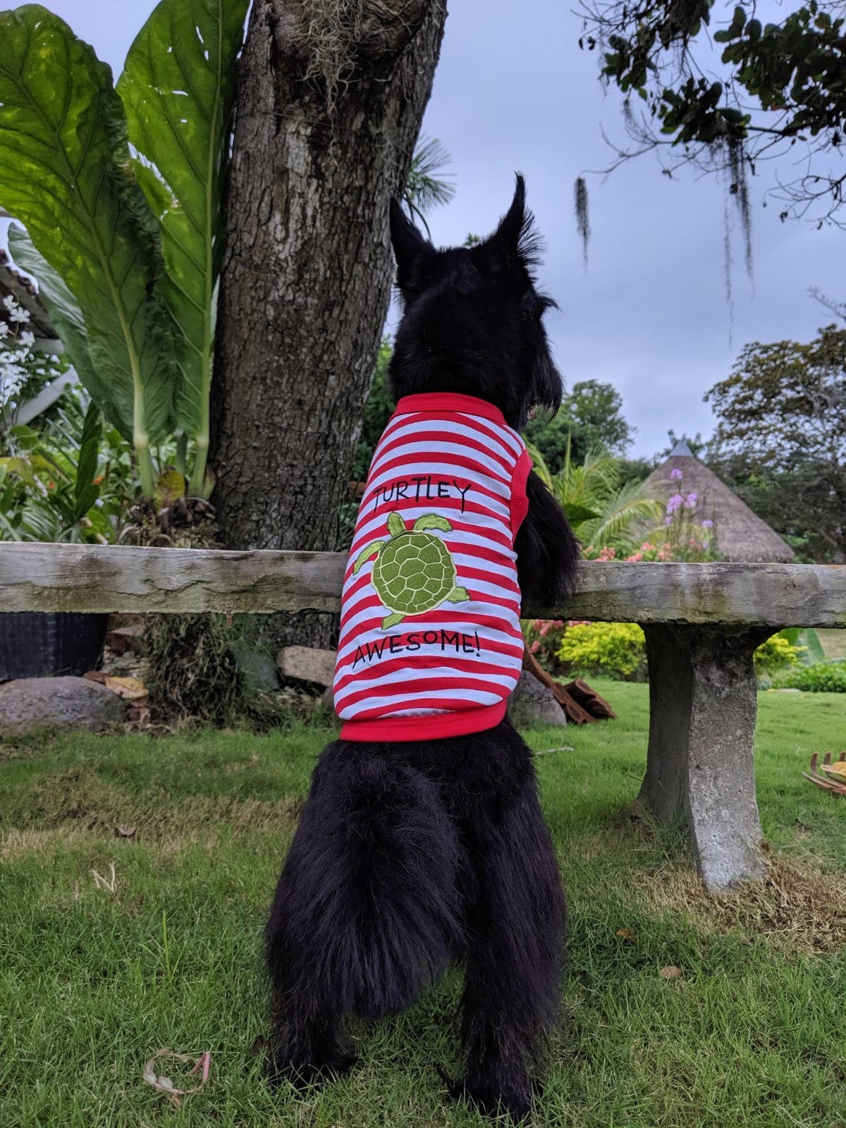 Turtley Awesome Dog or Cat Pet Clothing