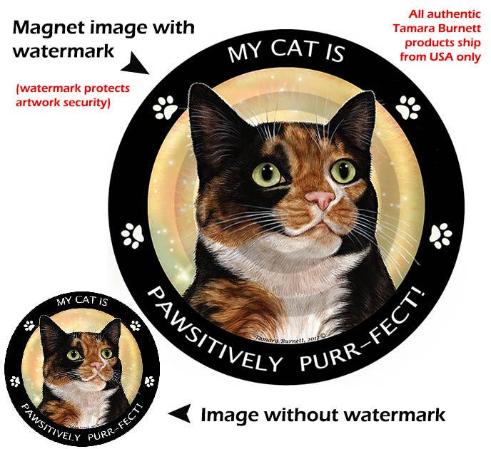 Tortoiseshell Cat My Best Friend Circular Magnet