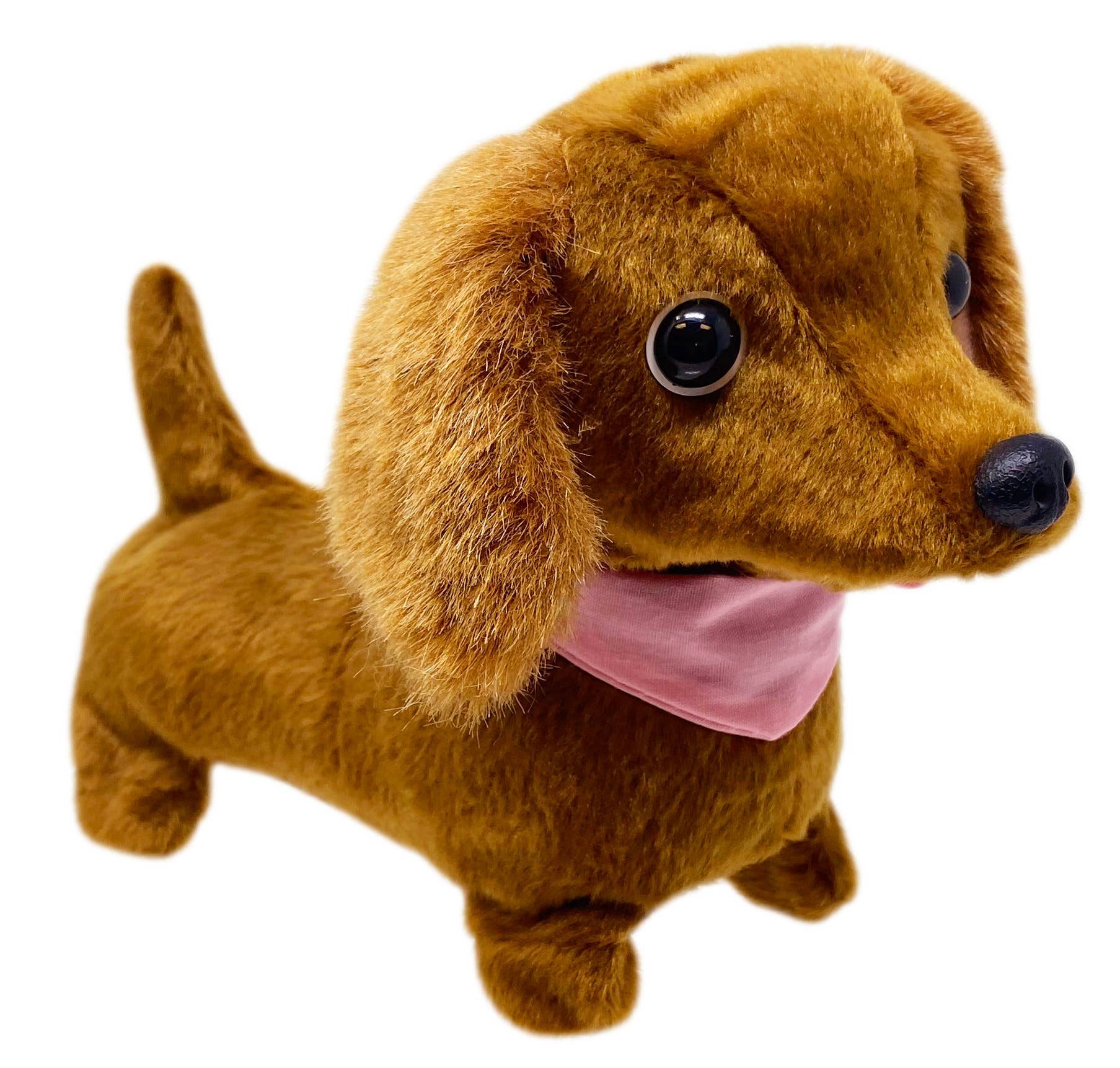 Westminster Dottie the Walking Dachshund Dog