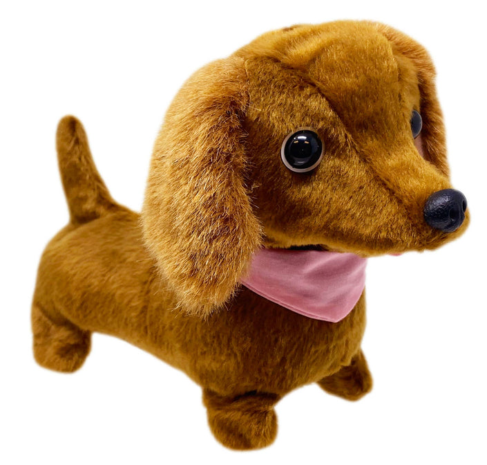 Westminster Dottie the Walking Dachshund Dog