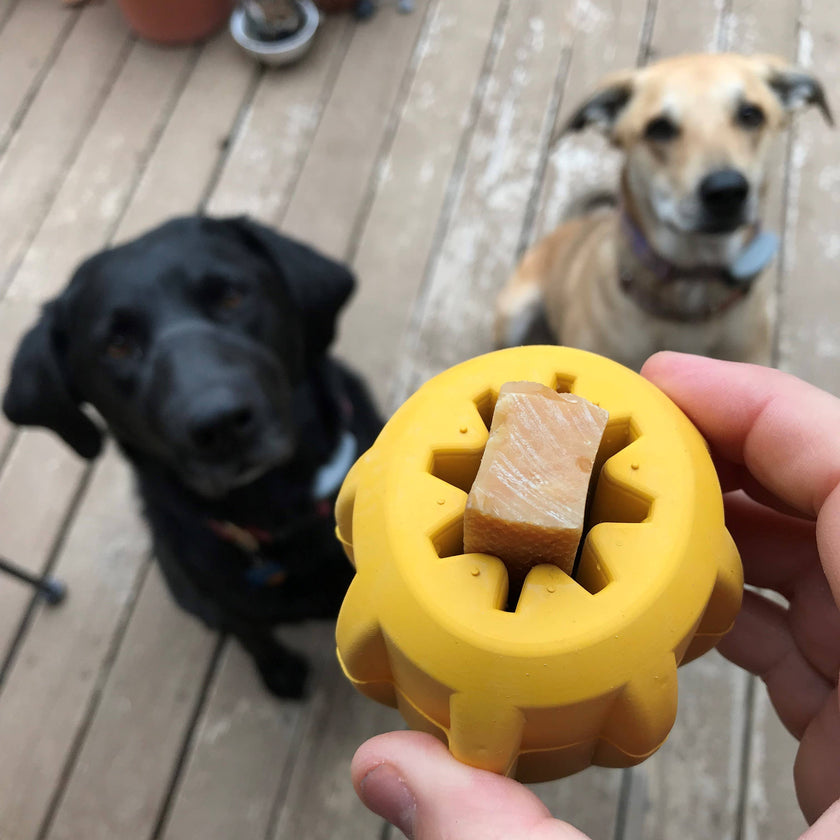 SP ID Gear - Dog Chew Toy - Treat Pocket- Large - Yellow