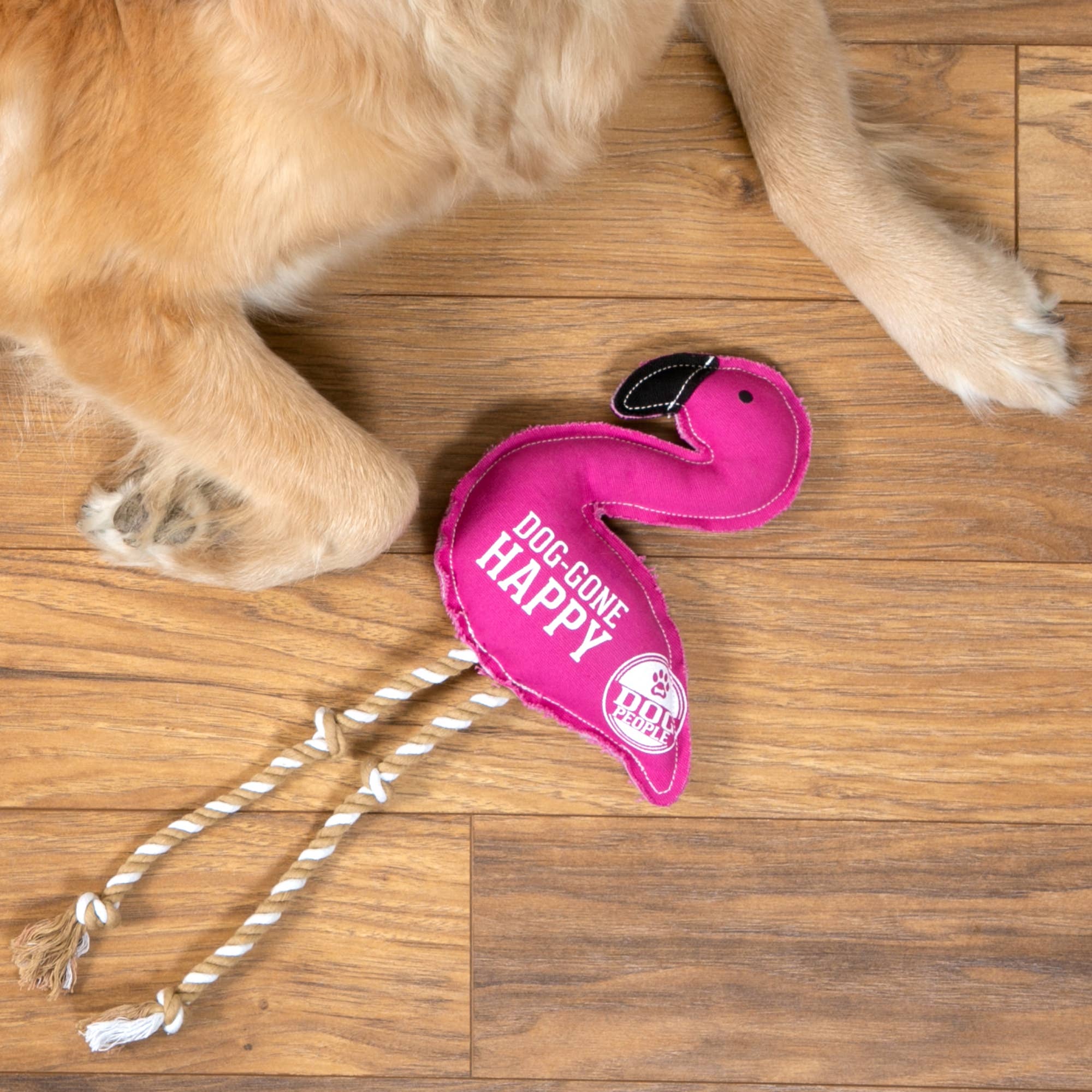 Dog-Gone Happy Canvas Dog Toy on Rope